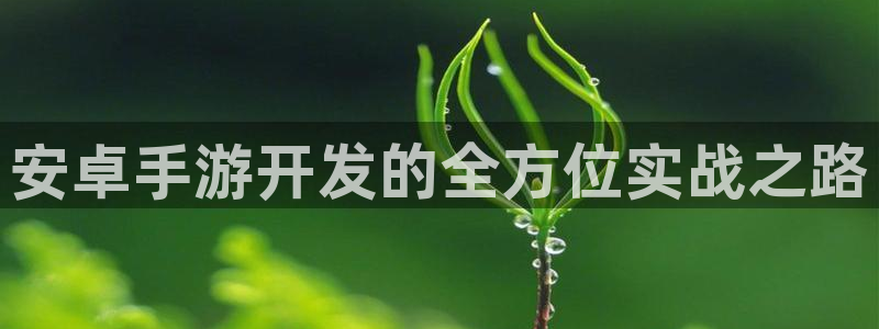 摩根娱乐云挂机教程：安卓手游开发的全方位实战之路