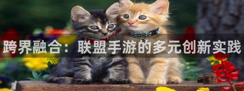 摩根娱乐这个平台怎么样啊赚钱吗：跨界融合：联盟手游的多元创新