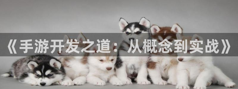 摩根娱乐是个什么平台啊：《手游开发之道：从概念到实战》