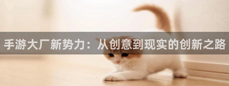 摩根娱乐娱乐官网入口：手游大厂新势力：从创意到现实的创新之路
