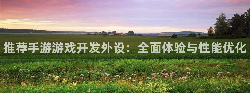 摩根娱乐挂机项目是什么：推荐手游游戏开发外设：全面体验与性能