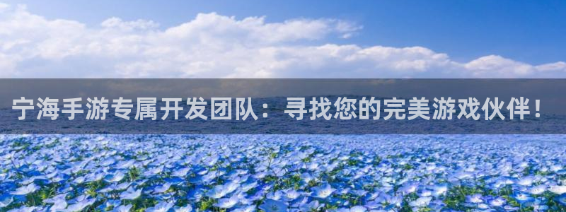 摩根娱乐网址大全：宁海手游专属开发团队：寻找您的完美游戏伙伴